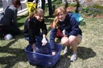 Lasell Celebrates Earth Day