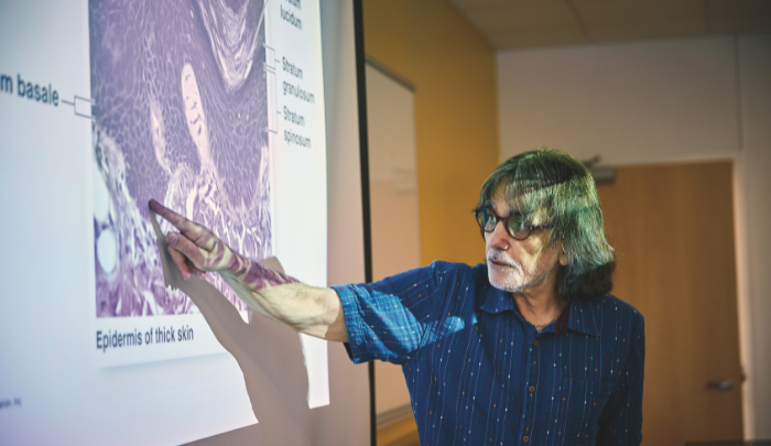 Professor Stephen Sarikas | Photo by Todd Dionne