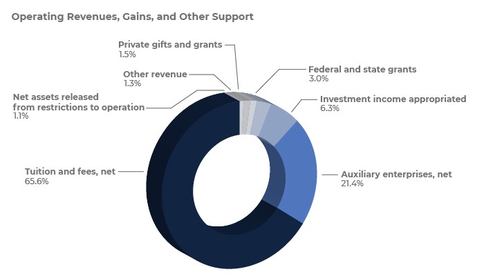 Operating Revenues Pie Chart
