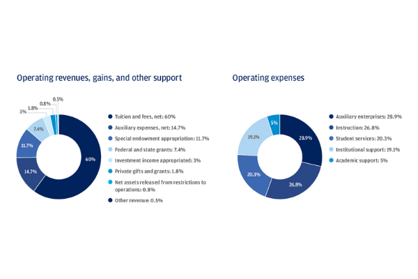 Statement of Activities: Operating revenues, gains, and other support; Operating expenses