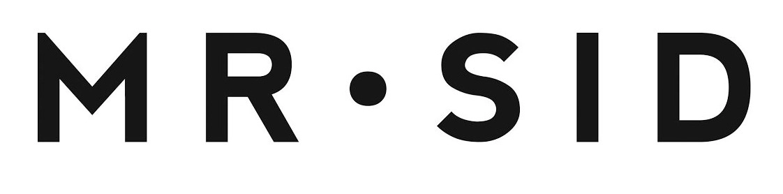 Mr Sid Logo