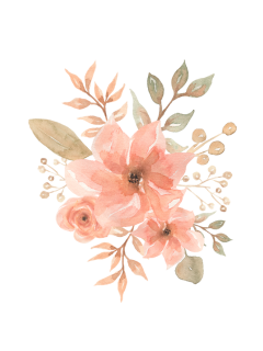 Pink flowers illustration