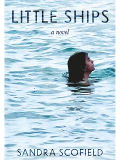 Cover of "Little Ships" by Sandra Scofield