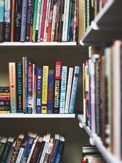 The Solstice MFA library at Lasell University